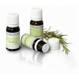 PRANAROM Aceite Esencial Bio Enebro Común Var. Alpina para Reuma y Dolor Articular 5ml PRANAROM Aceite Esencial Bio Enebro Común Var. Alpina para Reuma y Dolor Articular 5ml Precio: 14.9499999. SKU: B17Y9FD7NS