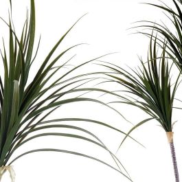 Ibergarden Planta con Maceta Hoja Estrecha Pequeña 140 cm