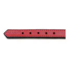 Gloria Collar Piel Acolchado Rojo 40 cm X 20 mm