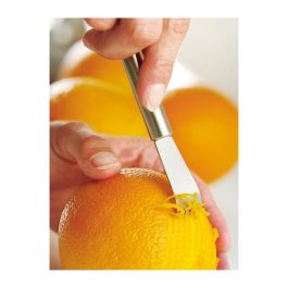 WMF 1871436030 Profi Plus Rallador de Limón de Acero Inoxidable, 14.5 cm