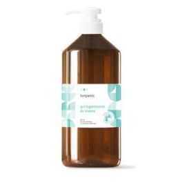 TERPENIC Gel Hidroalcohólico Higienizante con Aloe 1000ml Precio: 10.50000006. SKU: B1FYTWBAD9