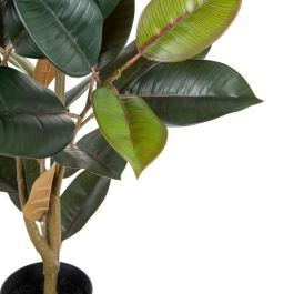 Planta Decorativa PVC Hierro Ficus 49 x 45 x 125 cm