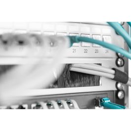 Digitus Regleta Cepillos para Cables 1U, Panel Ciego para Armarios 19", 483mm x 44mm, Gris