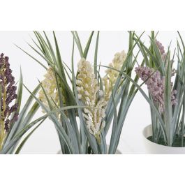 Planta DKD Home Decor Amarillo Burdeos 9 x 28 x 9 cm (12 Unidades) Planta DKD Home Decor Amarillo Burdeos 9 x 28 x 9 cm (12 Unidades)