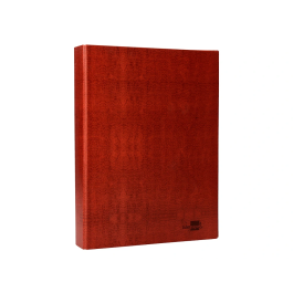 Liderpapel Carpeta 2 Anillas 40mm Mixtas Folio Cartón Cuero Compresor Plástico Resistente