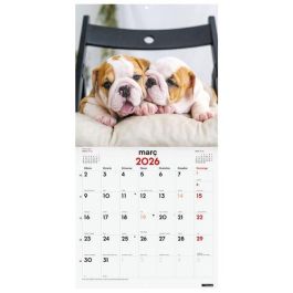Calendari (2026) Catalan Finocam Paret Imatges Mensual Per Escriure 300X300 Cadells Precio: 8.98999992. SKU: B1DRBYEK49