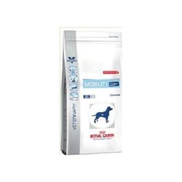 Royal Canin Canine Mobility Support - Alimento para perros con apoyo en movilidad, 2 kg Precio: 25.4999998. SKU: B1AZLEJ9BD
