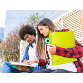 Liderpapel Carpeta 4 anillas 40 mm Polipropileno DIN A4 Amarillo Fluor Opaco