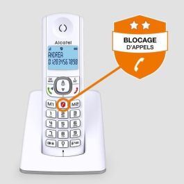 Alcatel F530 Teléfono Inalámbrico Sin Contestador, Gran Pantalla Retroiluminada, Manos Libres, Directorio 50 Contactos, Función VIP, Gris