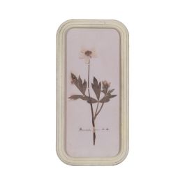 Cuadro Impresión Flores 4/M Dm-Cristal 25 X 2 X 50 cm