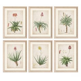 DKD Home Decor Cuadro Tropical Verde y Beige de Palmeras 40x30 cm (6 Unidades) Decoración del Hogar DKD Home Decor Cuadro Tropical Verde y Beige de Palmeras 40x30 cm (6 Unidades) Decoración del Hogar Precio: 130.5000004. SKU: B1FH28JMB8