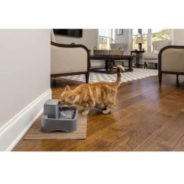 PetSafe Drinkwell Water Cooler Fuente de Agua para Gatos y Perros Pequeños 1,8 L Sin BPA Doble Filtración Flujo Ajustable
