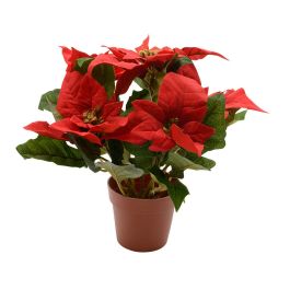 Planta artificial flor de pascua, ø27x27cm, Precio: 10.99000045. SKU: B1KFYWN4HM