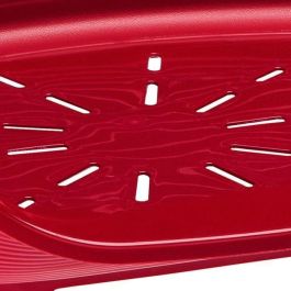 Ferplast Cama de Plástico Siesta para Perro y Gato Deluxe 4 Color Burdeos Ferplast Cama de Plástico Siesta para Perro y Gato Deluxe 4 Color Burdeos