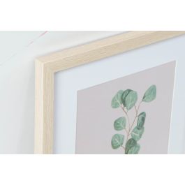 DKD Home Decor Cuadro Scandi de Plantas, Verde y Beige, 45 x 35 cm (Pack 12 Unidades Surtidas)