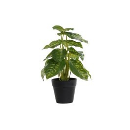 DKD Home Decor Planta Artificial Diefembaquia Decoración para Hogar u Oficina, Colores Verde y Negro, Dimensiones 20x20x30 cm, Fabricada en PVC y PP