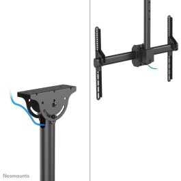 Soporte de Mesa para Pantalla Neomounts CL35-440BL16XL 70" 37" 50 kg
