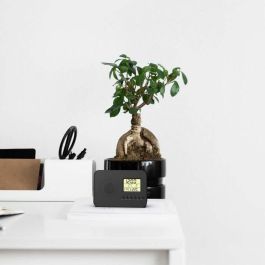 Evoom Radio Reloj Despertador Inteligente EVO3700527306148 con Visualización de Fecha, Hora, Temperatura y Humedad - Negro