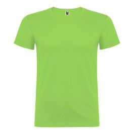 Camiseta beagle verde oasis t.XL