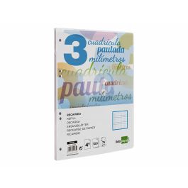 Recambio Liderpapel Cuarto Pautaguia 100 Hojas 75 gr Cuadriculado Pautado 3 mm Con Margen 6 Taladros