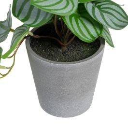 Potos Verde-Blanco "Pvc" 25 X 21 X 21,50 cm