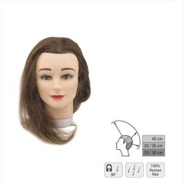 Sinelco Cabeza De Aprendizaje Student 35-40Cm (0030201) Precio: 77.50000027. SKU: SBL-S0030201