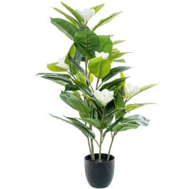 Planta Decorativa Alexandra House Living Plástico Magnolia 100 cm Precio: 99.58999985. SKU: B1G7Y5YPTW