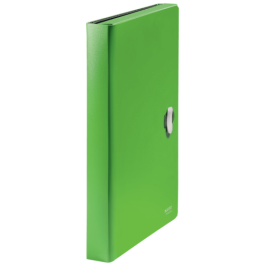 Leitz Carpeta Clasificadora Fuelle Polipropileno 5 Compartimentos DIN A4 Verde Precio: 15.88999951. SKU: B1JRLCSWK4