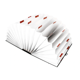 Liderpapel Carpeta Fuelle Folio Cartón Forrado Negra 20 Departamentos 25x350x305 mm