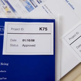 Brother Cinta Continua De Papel Térmico Removible Blanco 62 mm x 30,48 M