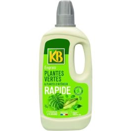 Fertilizante Rápido Plantas Verdes y Plantas de Interior 1L Precio: 22.49999961. SKU: B19NTDSY8G