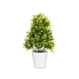 Planta Grande Verde Hojas Finas Maceta Blanca Ibergarden 18X35CM (6 Unidades) Planta Grande Verde Hojas Finas Maceta Blanca Ibergarden 18X35CM (6 Unidades)