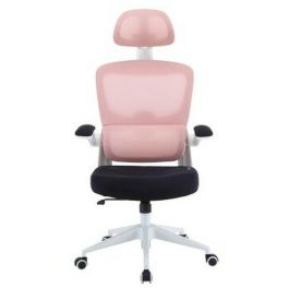 Silla Gaming Woxter Ergo/ Rosa Precio: 127.50000021. SKU: B1BWRAMRMG