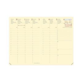Recambio Agenda Anual (2026) Quo Vadis Affaires Prestigio Sp 150X100 S/V 2 Pag. Precio: 7.79000057. SKU: B1EP43J558