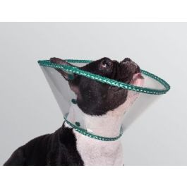 B. Braun Collar Isabelino Ecoprotec Bulldog 20 Verde 1Ud Precio: 8.49999953. SKU: B13EZ86TY8