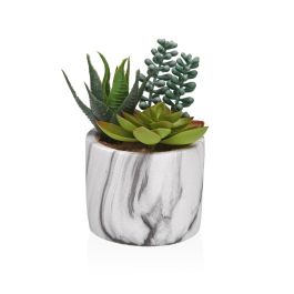 Planta Decorativa Versa Cerámica Plástico Fusion Suculenta 9 x 15 x 9 cm Precio: 6.50000021. SKU: B1BBJE25D8