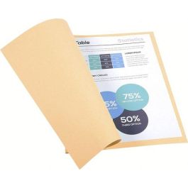 Exacompta Subcarpeta de cartulina reciclada certificada Blue Angel DIN A4, 170 g/m², color crema Precio: 14.49999991. SKU: B13J9C8ZQQ