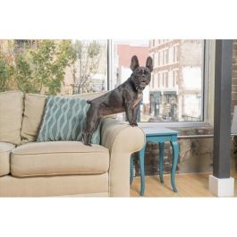 Petsafe PBC19-16448 Collar antiladridos LITE para perros pequeños y sensibles, 15 niveles, impermeable y recargable