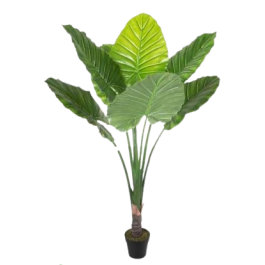 Planta Tropical DKD Home Decor Verde 80 x 180 x 80 cm (2 Unidades)