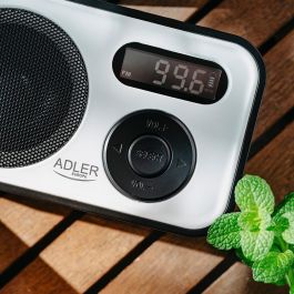 Adler Radio digital PLL AM/FM AD1906 con sintonización automática, pantalla LCD, reloj y alarma, USB-C/Batería, 12,5 x 3 x 7,5 cm