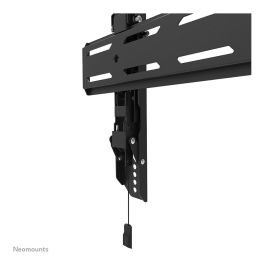 Soporte TV Neomounts 12597273000 43-98" 43" 86" 100 kg