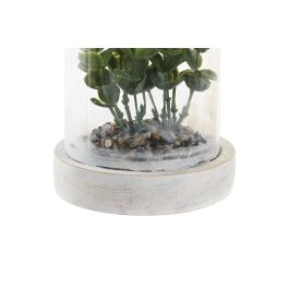 DKD Home Decor Planta Natural Marron Oscuro 12 x 18 x 12 cm (4 Unidades)