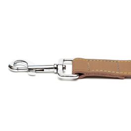 Correa Oasis 100 cm X 15 mm Marron Correa Oasis 100 cm X 15 mm Marron