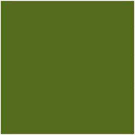 Cartulina Iris Verde militar 50 x 65 cm Precio: 13.95000046. SKU: B1ERA98MFD