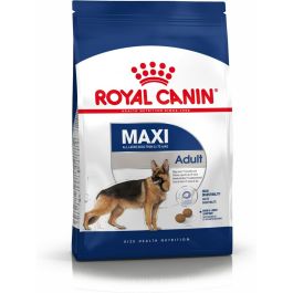 Royal canine adult maxi 15kg+3kg Royal canine adult maxi 15kg+3kg