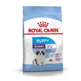 Royal Canine Puppy Giant 15 kg Precio: 91.7727272. SKU: B199ZZY69P