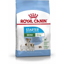 Royal Canine starter mini 1kg Precio: 11.7727269. SKU: B1GDCQCRJB