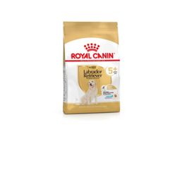 Royal Canin Labrador Retriever Adult 5+ Pienso para Perros 12 kg