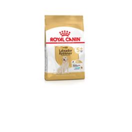 Royal Canin Labrador Retriever Adult 5+ Pienso para Perros 12 kg Precio: 88.99. SKU: B1GLNWGS2Y