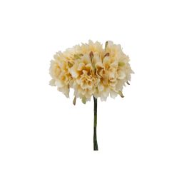 Mini Flor Bolsa de 10 Pomos Zinnia x 6 Flores Naranja Precio: 6.95000042. SKU: B1D9NLYTBT